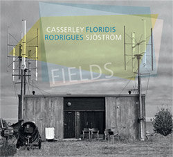 Sjostrom, Harri / Floros Floridis / Guilherme Rodrigues / Lawrence Casserley: Fields (Creative Sources)