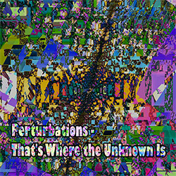 Perturbations: That's Where the Unknown Is