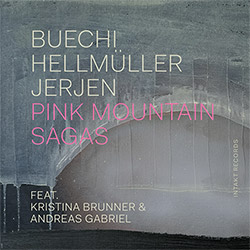 Buechi / Hellmuller / Jerjen (Feat Kristina Brunner / Andreas Gabriel): Pink Mountain Sagas