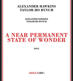 Hawkins, Alexander / Taylor Ho Bynum: A Near Permanent State Of Wonder