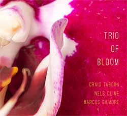 Taborn / Cline / Gilmore: Trio of Bloom