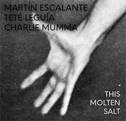 Escalante, Martin / Charlie Mumma / Tete Leguia: This Molten Salt (Wash and Wear Records) Escalante, Martin / Charlie Mumma / Tete Leguia: This Molten Salt (Wash and Wear Records)