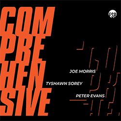 Evans, Peter / Joe Morris / Tyshawn Sorey: Comprehensive (Listen! Foundation (Fundacja Sluchaj!)) Evans, Peter / Joe Morris / Tyshawn Sorey: Comprehensive (Listen! Foundation (Fundacja Sluchaj!))