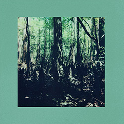 Reign of Ferns (Raffa / Weathers): In The Same Room 