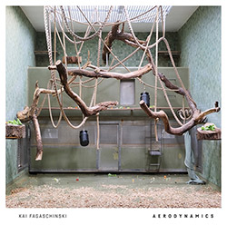 Fagaschinski, Kai: Aerodynamics [VINYL 2 LPs]