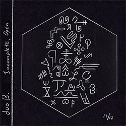 duo B. (Lisa Mezzacappa / Jason Levis): Incomplete, Open