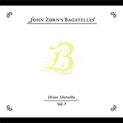 Zorn, John / Brian Marsella: The Bagatelles Vol. 7
