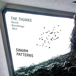 Thunks, The (Harnik / Brandlmayr / Kern): Swarm Patterns