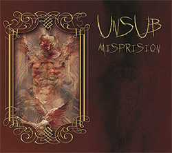 Unsub: Misprision