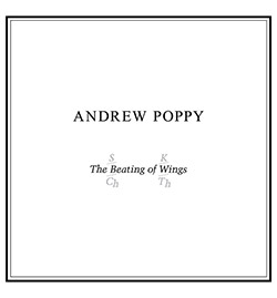 Poppy, Andrew: The Beating of Wings: 40th Anniversary Edition