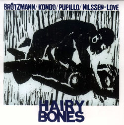Brotzmann / Kondo / Pupillo / Nilssen-Love: Hairy Bones (Okkadisk)