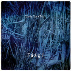 Curtis Clark Trio: Taagi (NoBusiness)