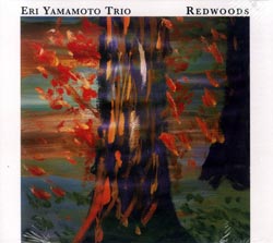 Yamamoto, Eri Trio: Redwoods (Aum Fidelity)