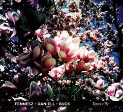 Fennesz / Daniell / Buck: Knoxville (Thrill Jockey)