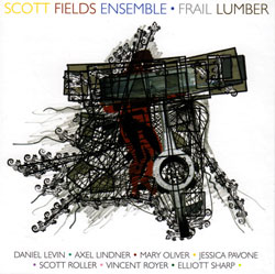Scott Fields Ensemble: Frail Lumber (Not Two)