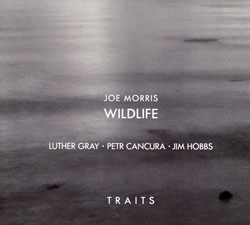 Morris, Joe: Wildlife Traits (Riti Records)