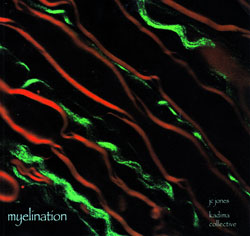 Jones, JC: Myelination (Kadima)