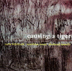 Kihlstedt / Bossi / Ismaily: Causing A Tiger (Les Disques Victo)