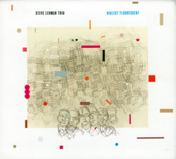 Lehman, Steve Trio,  feat. Matt Brewer and Damion Reid: Dialect Fluorescent (Pi Recordings)