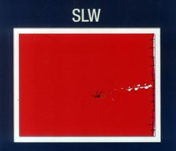 Burkhard Beins / Lucio Capece / Rhodri Davies / Toshimaru Nakamura: SLW (formed.records)