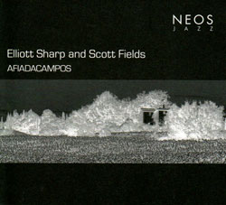 Elliott Sharp and Scott Fields: AFIADACAMPOS (Neos Jazz)