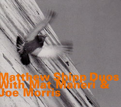 Shipp, Matthew: Duos with Mat Maneri & Joe Morris (hatOLOGY)