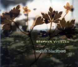 Stephen Vitiello: With Eighth Blackbird (IEA)