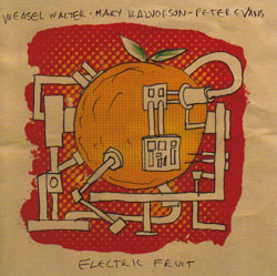 Weasel Walter / Mary Halvorson / Peter Evans: Electric Fruit (Thirsty Ear)