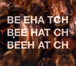Beehatch:  (Lens Records)