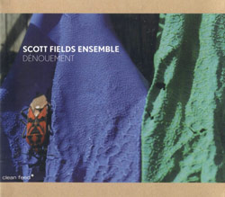 Fields Ensemble, Scott : Denouement (Clean Feed)