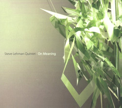 Lehman, Steve Quintet : On Meaning (Pi Recordings)