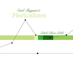 Maguire, Carl Floriculture: Sided Silver Solid