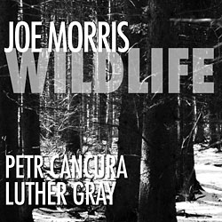 Morris, Joe: Wildlife