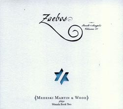 Medeski, Martin And Wood: Zaebos: The Book Of Angels Volume 11 (Tzadik)
