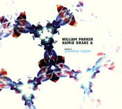 Parker, William / Drake, Hamid: Volume 2: Summer Snow