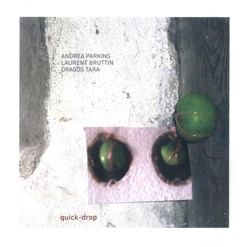 Andrea Parkins / Laurent Bruttin / Dragos Tara: quick-drop (Creative Sources)