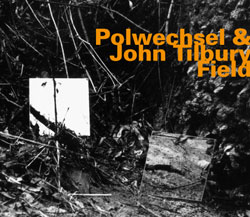 Polwechsel & John Tilbury: Field (hatOLOGY)