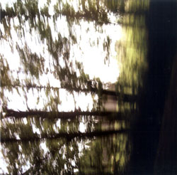 Tabassian / Martel / Tabassian: Masafat (Ambiances Magnetiques) Tabassian / Martel / Tabassian: Masafat (Ambiances Magnetiques)