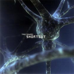 Trio Sowari (Beins, Denzler, Durrant): Shortcut (Potlatch) Trio Sowari (Beins, Denzler, Durrant): Shortcut (Potlatch)